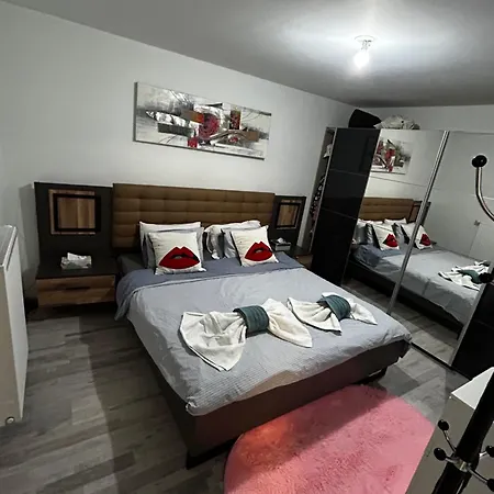 3 Pièce Strasbourg Ilkirch-graffenstaden Appartamento