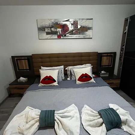 Appartement 3 Piece Strasbourg Ilkirch-graffenstaden