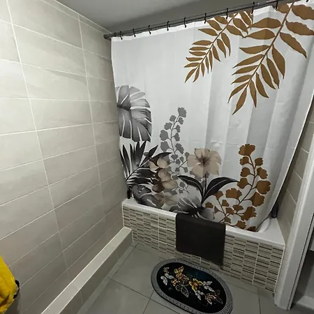 3 Piece Strasbourg Ilkirch-graffenstaden شقة إلكيرك كرافونستاد