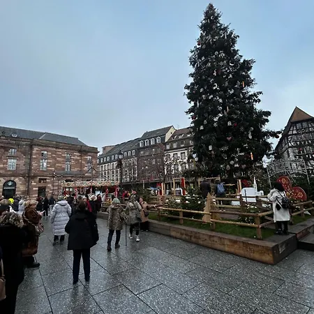 3 Pièce Strasbourg Ilkirch-graffenstaden *