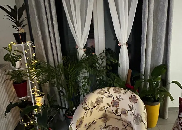 Appartement 3 Piece Strasbourg Ilkirch-graffenstaden Illkirch-Graffenstaden