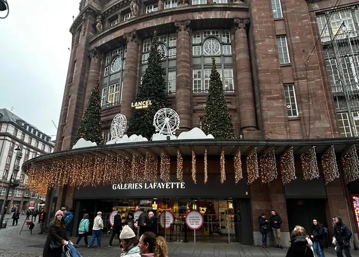 Appartement 3 Piece Strasbourg Ilkirch-graffenstaden Illkirch-Graffenstaden